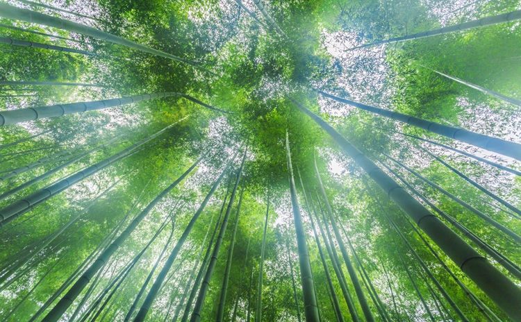 竹纤维系列床笠